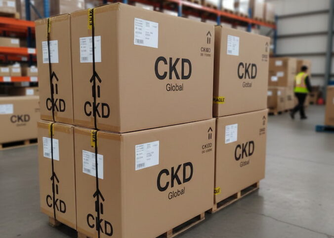 Fornecedor de caixa CKD: conte com LG Embalagens